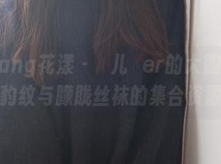 HuaYang花漾 - 玥儿玥er的大胆尝试：豹纹与朦胧丝袜的集合资源