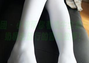 森萝财团 - 小梓带你看奶牛全集——拎着奶桶去旅行的冒险故事！